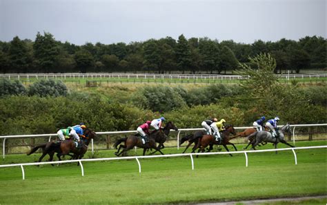 Lucky 15 Tips: Friday's best bets from across the tracks .